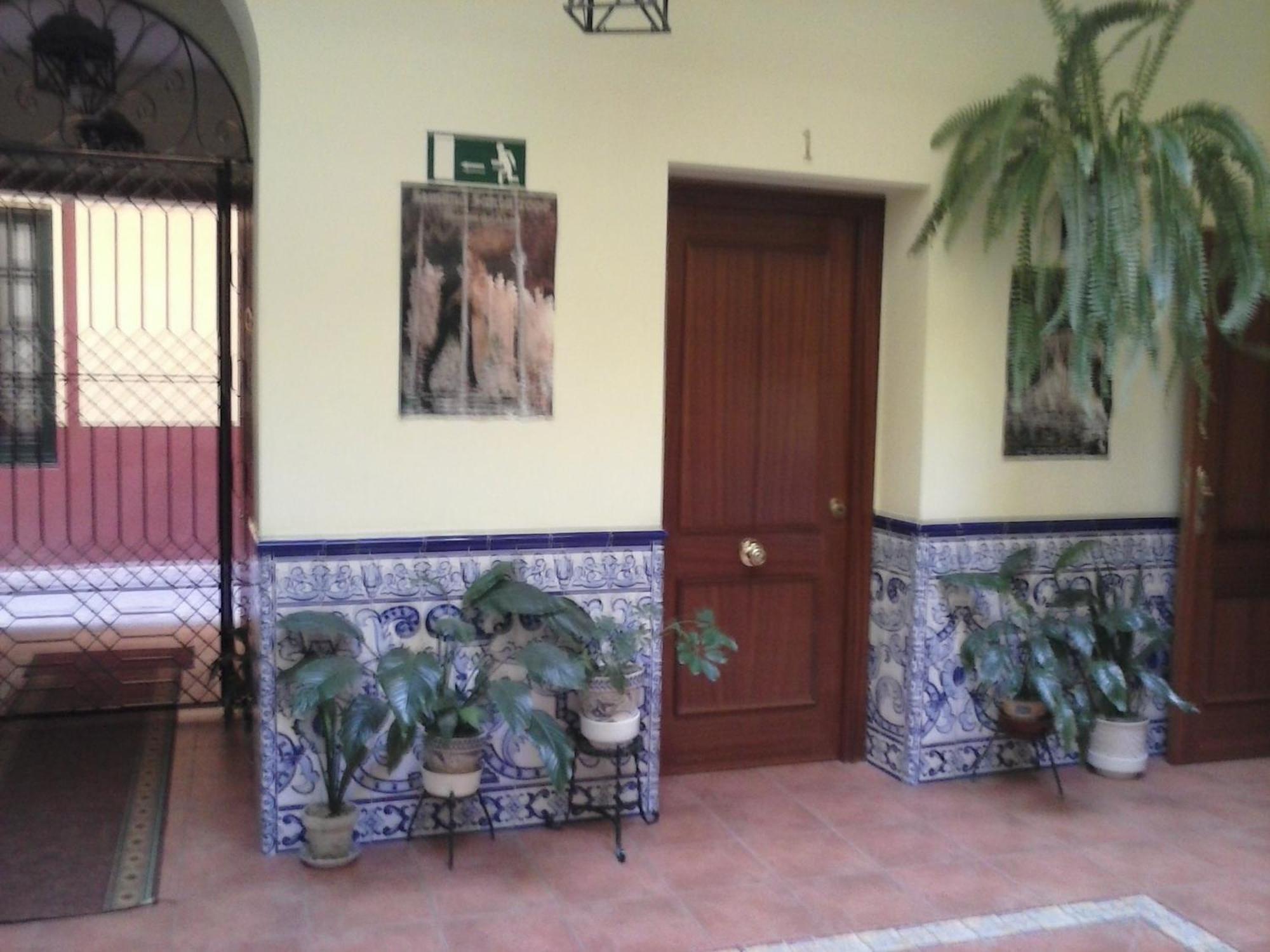 Pension Dona Trinidad Sevilla Dış mekan fotoğraf